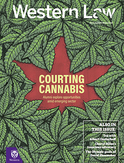 Cover of Courting Cannabis