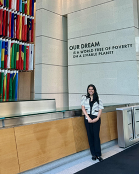 Simone World Bank